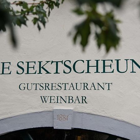 ניטל Weingut Und Gaestehaus Zilliken מראה חיצוני תמונה