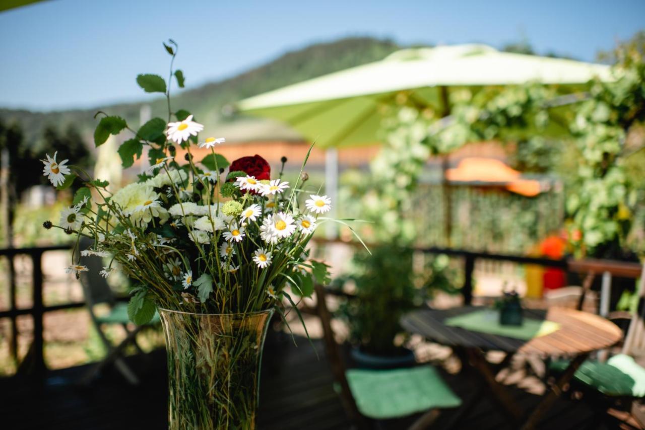 ניטל Weingut Und Gaestehaus Zilliken מראה חיצוני תמונה