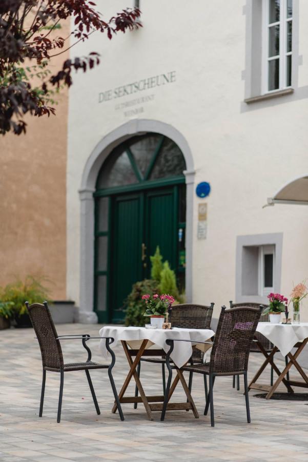ניטל Weingut Und Gaestehaus Zilliken מראה חיצוני תמונה