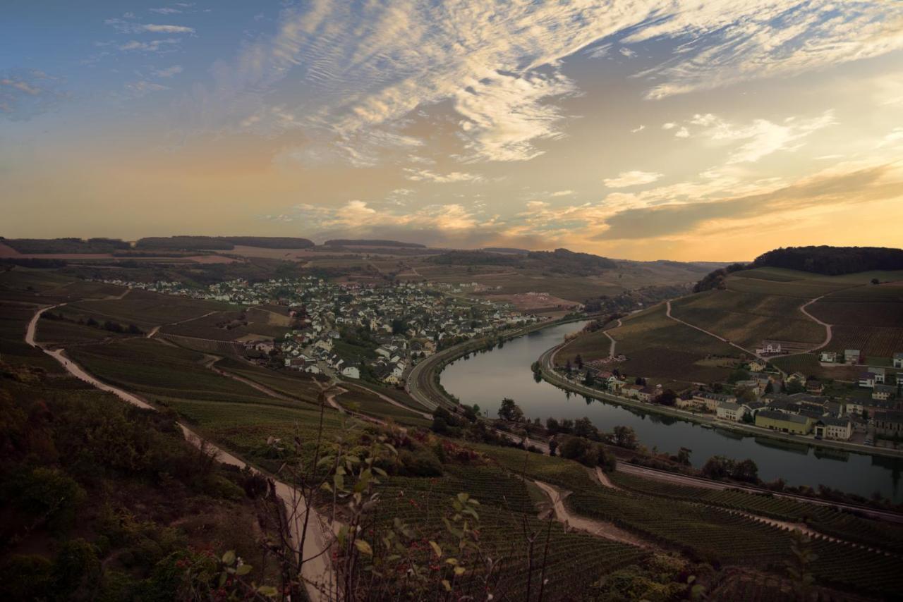 ניטל Weingut Und Gaestehaus Zilliken מראה חיצוני תמונה
