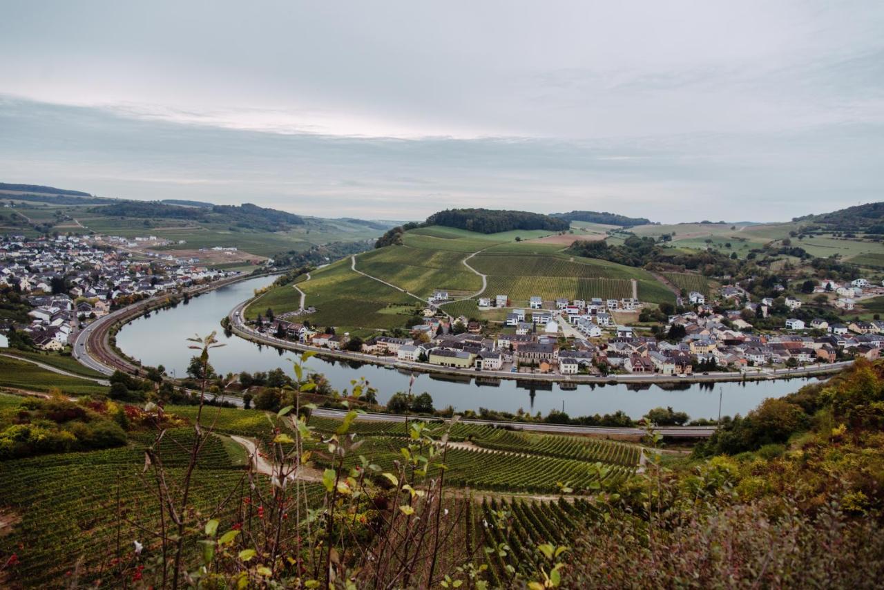 ניטל Weingut Und Gaestehaus Zilliken מראה חיצוני תמונה